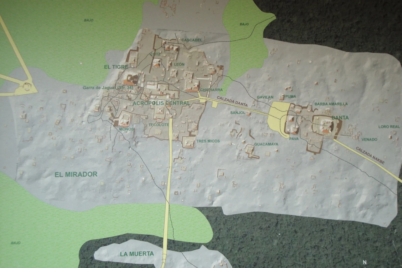 Information map of the El Mirador Maya city showing the layout of the major complexes incl. the Danta and Tigre groups.