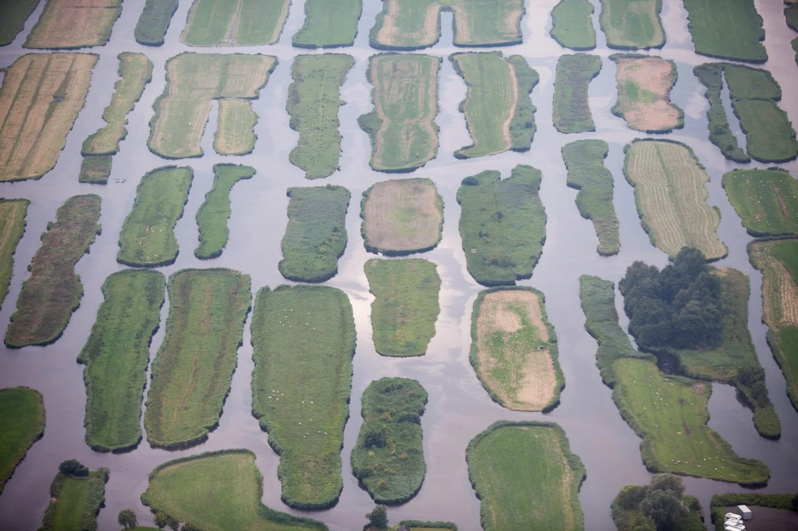 Aerial of a Dutch polder landscape, representative of the national spatial scope of the NOVI